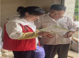 W(wng) (zhng)ˡL(fng)еo(h)